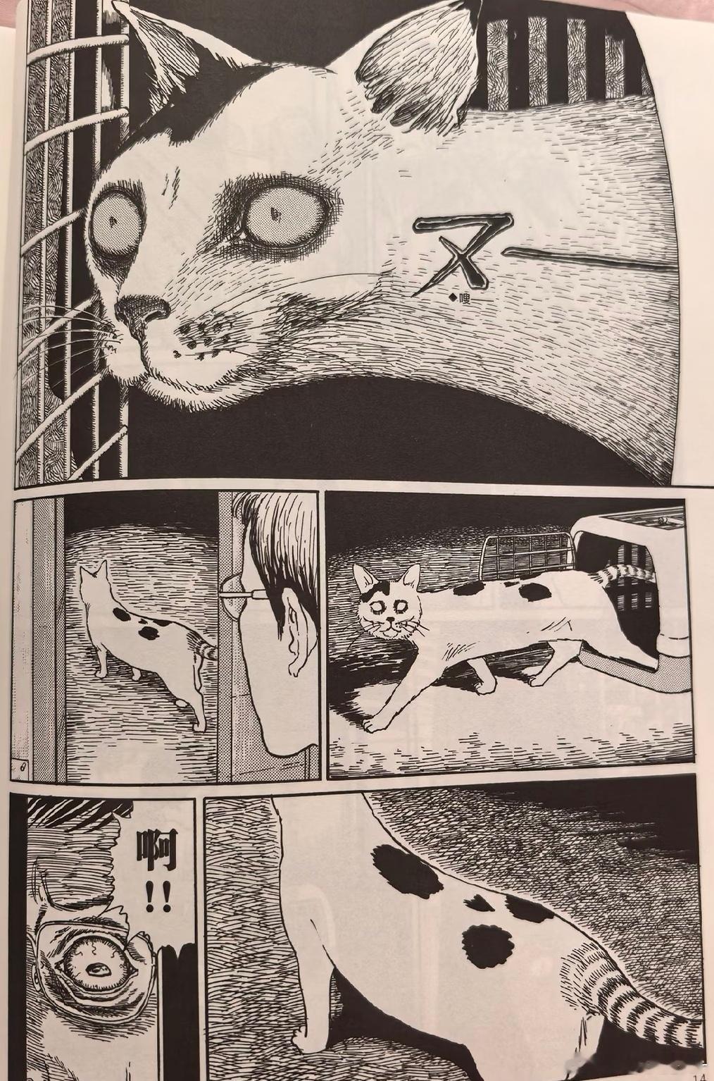 伊藤润二家的丑猫，敢情还是写实派，哈哈哈
