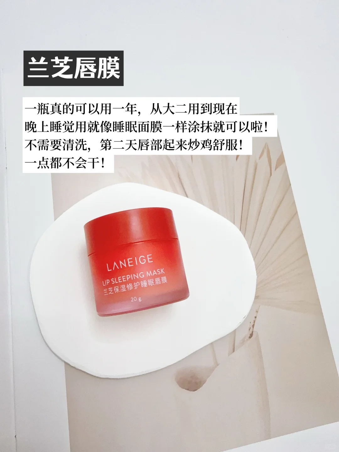 精简护肤｜混油皮最爱｜less is more