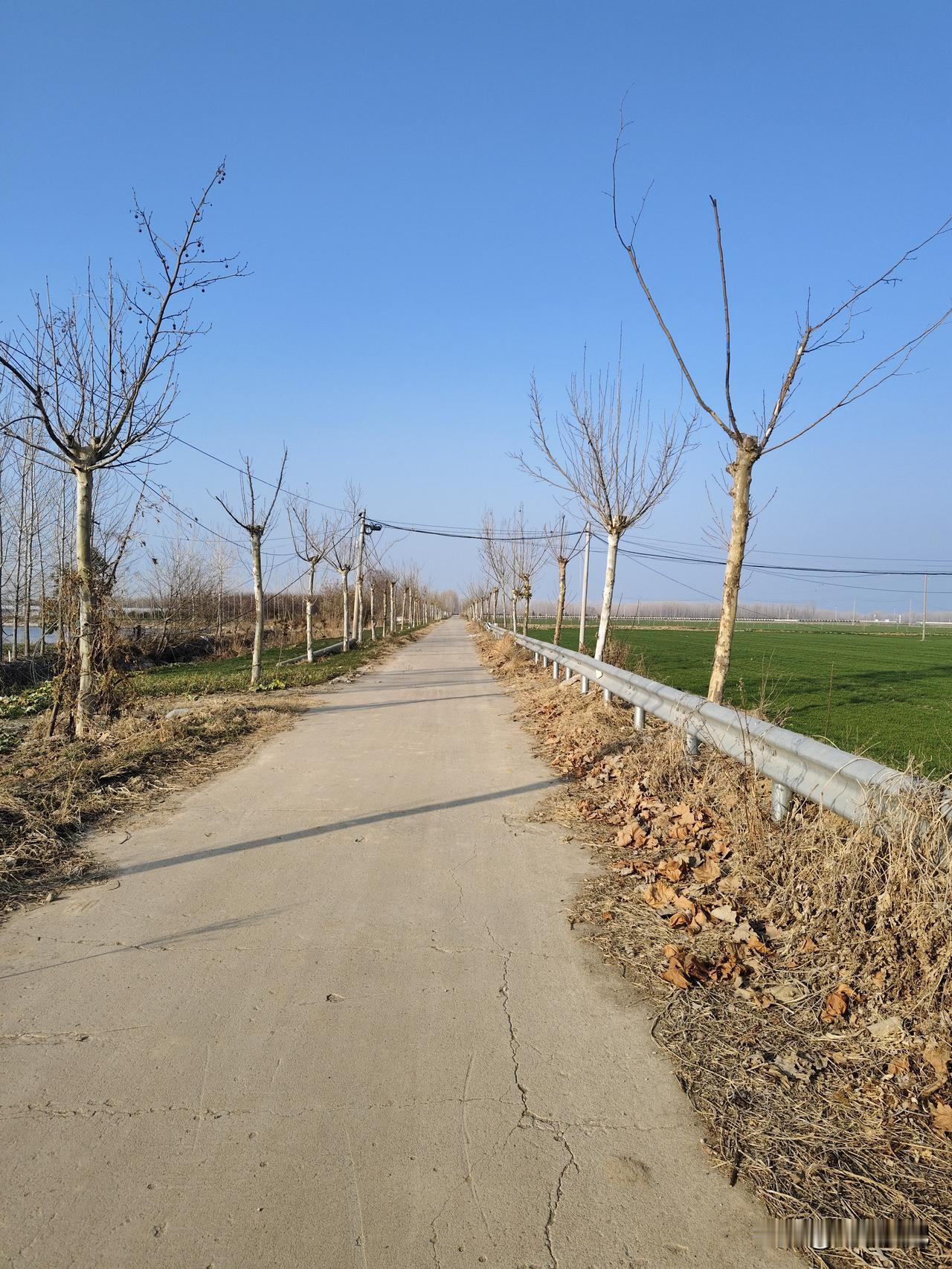 晒图笔记大赛实拍宿迁乡村公路