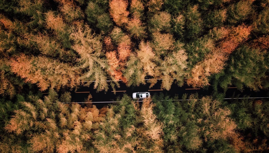 航拍光雾山红叶，每一眼都是惊艳！