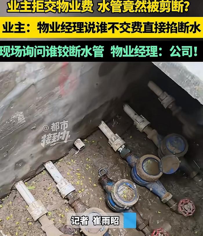 河南开封，某小区物业不作为，惹小区业主不满，集体不交物业费，物业也不是吃素的，谁