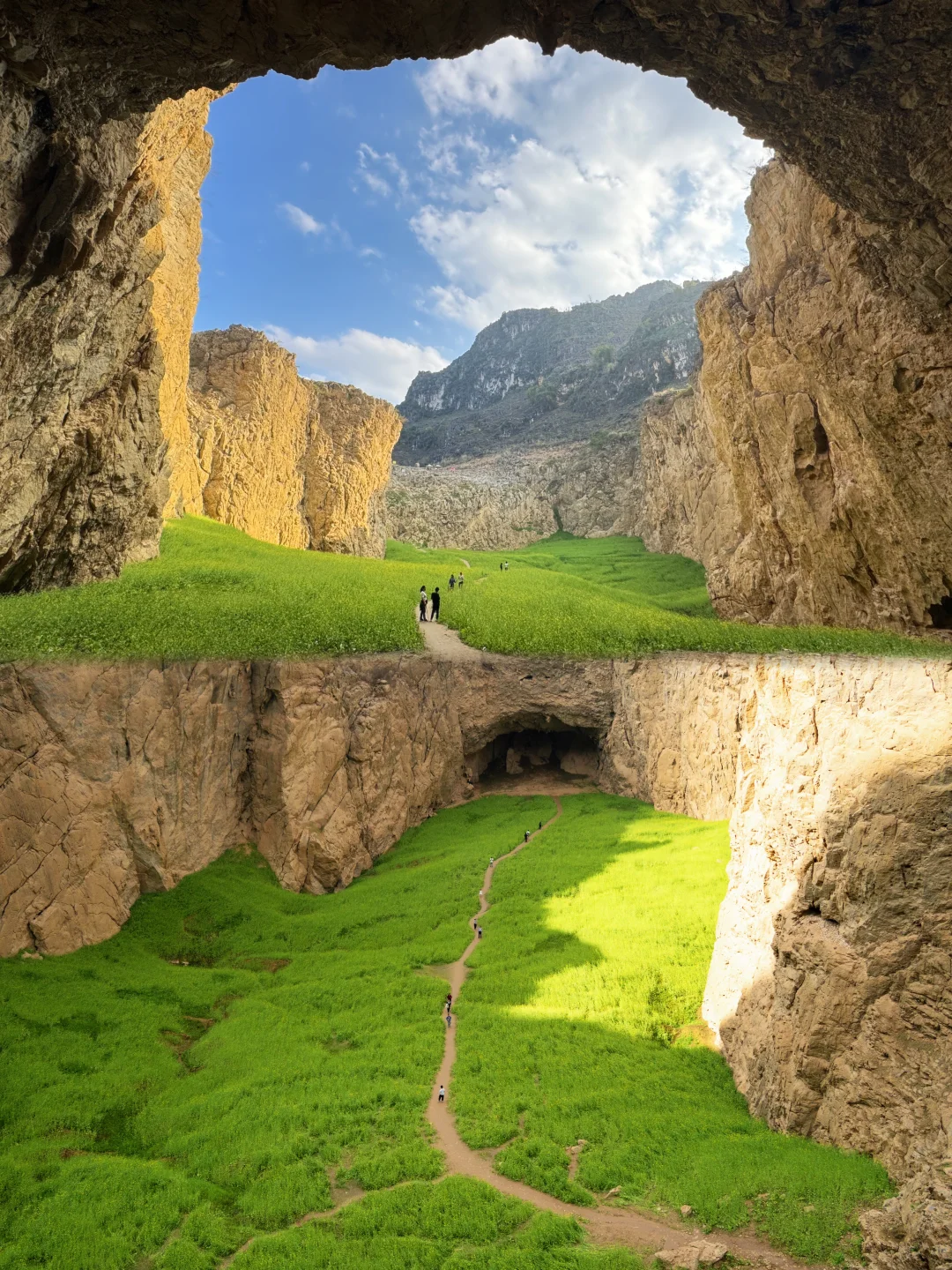 闯入现实版“塞尔达”—— 龙养天坑