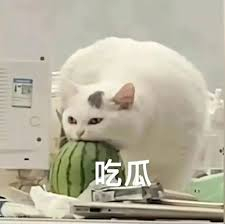 看别人的比赛真有意思啊兄弟萌。nba季后赛 ​​​