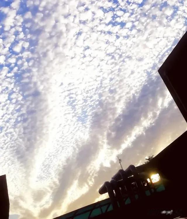 哪种云和地震有关？有懂行的人，来科普一下吗？[抠鼻]据说济南的朋友在地震前看见了