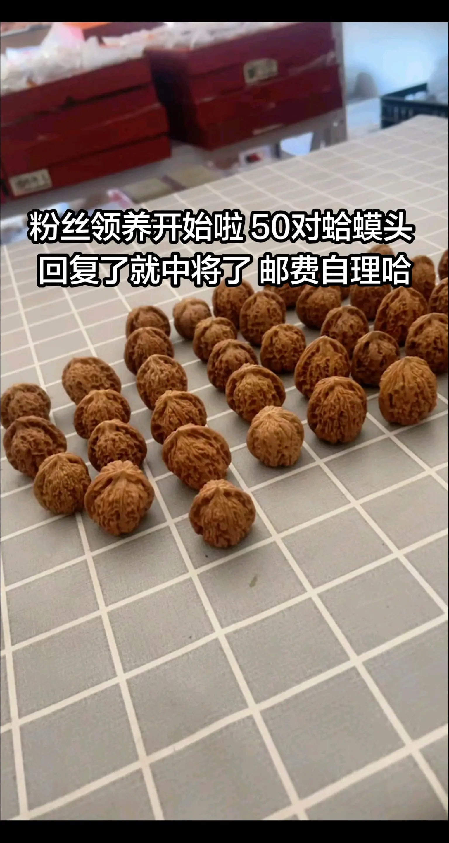 领养蛤蟆头。粉丝领养开始啦 50对蛤蟆头回复了就中将了 邮费自理哈