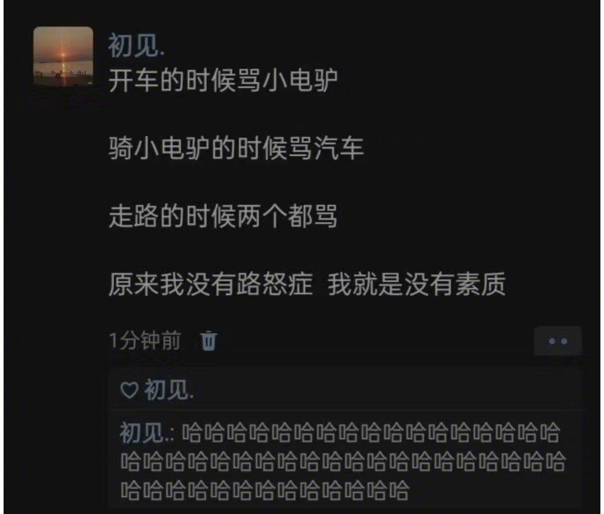原来我没路怒症只是没素质[允悲] ​ ​​​