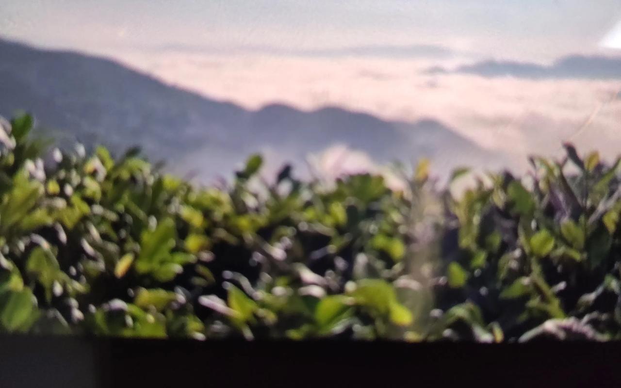 以前，茶农是不能私自带茶叶出来贩卖的，如果带出来被发现，不管是卖还是送人，被查到