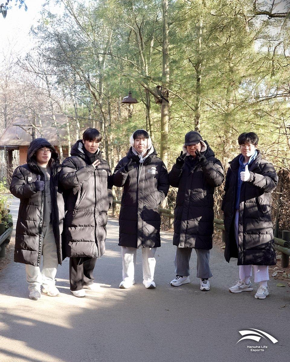 HLE透露他们的体重大公开Zeus：75-76公斤Kanavi：84公斤Zeka