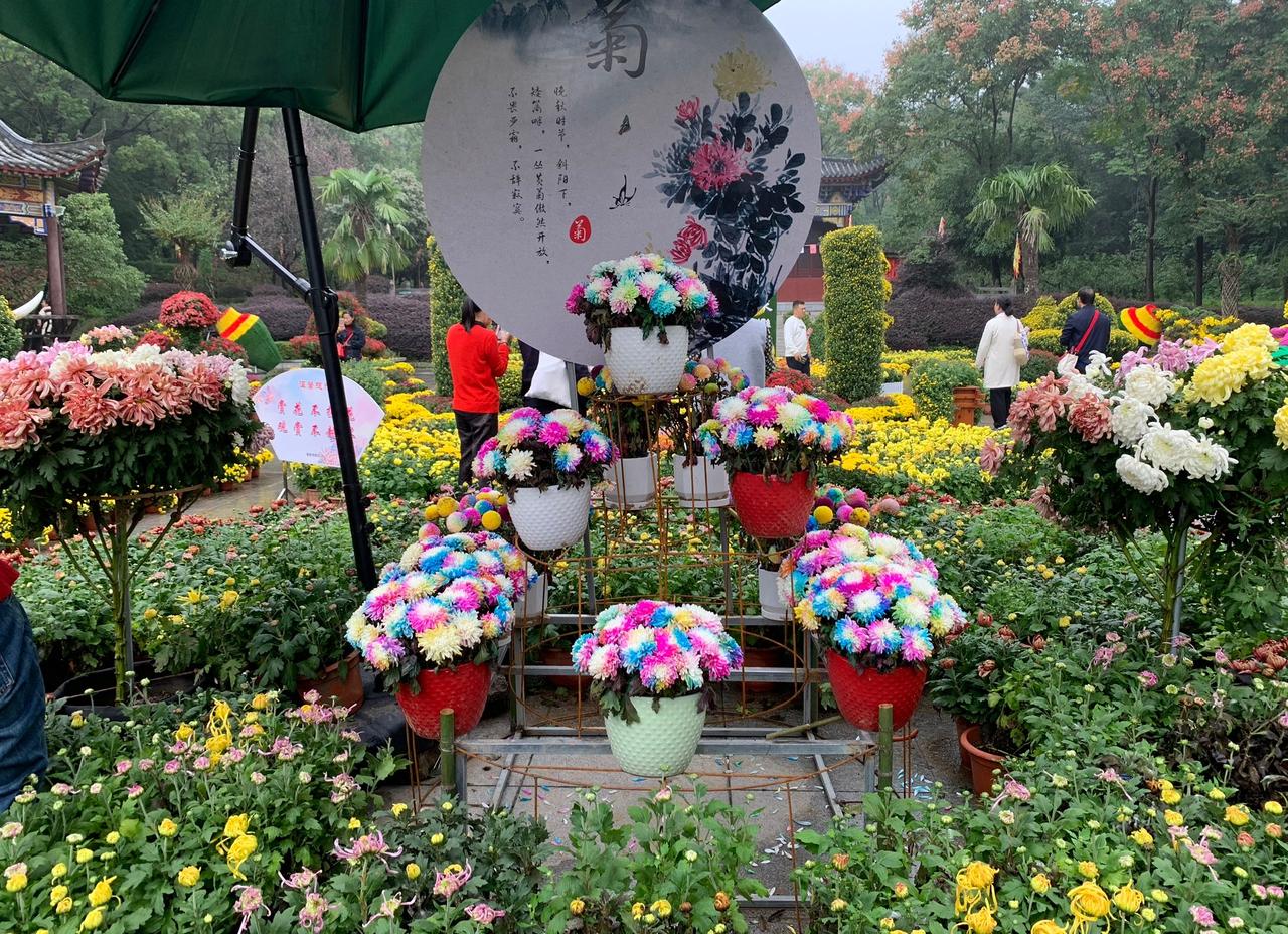都说人生有几道坎，39、49、59……逢九的年纪，需要特别当心。

以前听到这些
