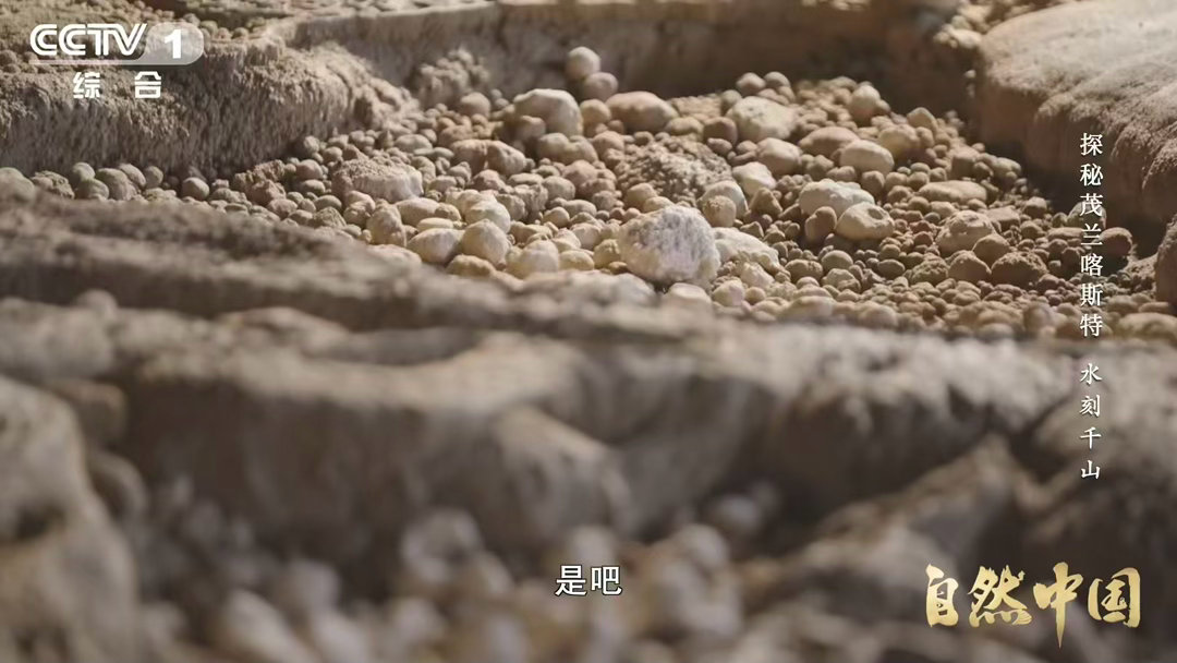 你见过石头开出的花吗喀斯特溶洞里藏着石头珍宝 在茂兰溶洞深处，科考队发现了石花。