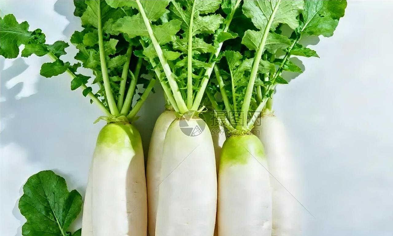 春天吃萝卜，正当季的养生好物
 
春风渐暖，正是吃萝卜的好时候，这口脆嫩鲜爽，藏