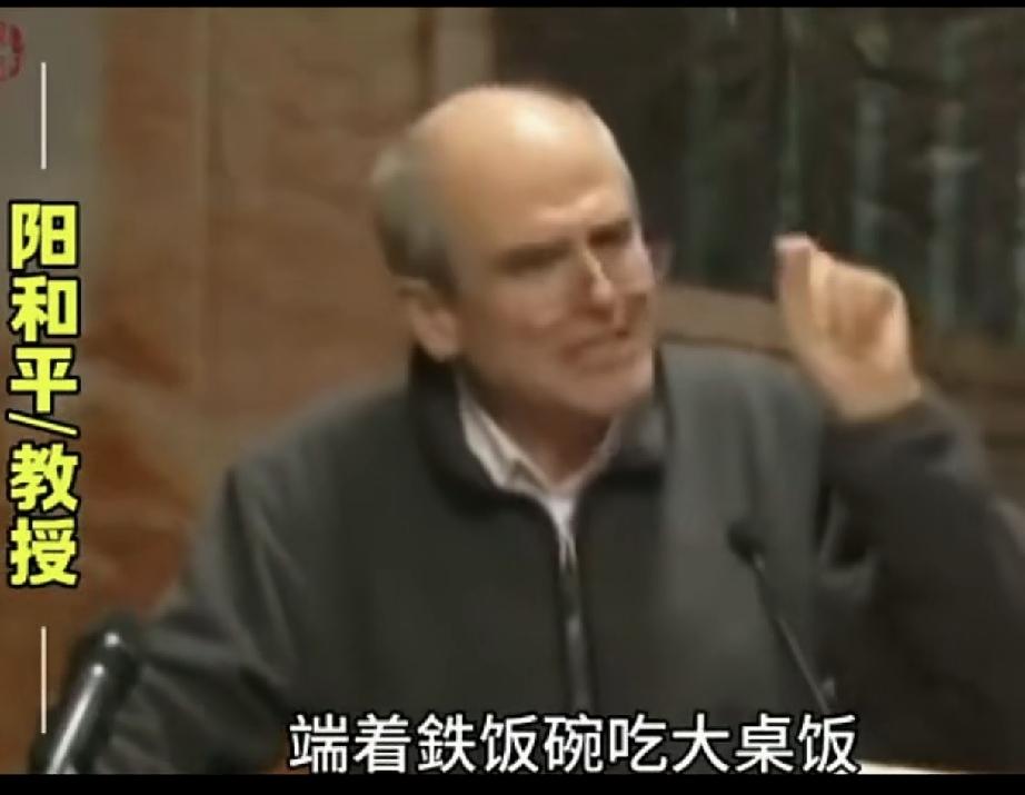 阳和平的一番追问：饭碗的安全感，决定敢不敢说话
学者阳和平结合自己两段工厂经历，