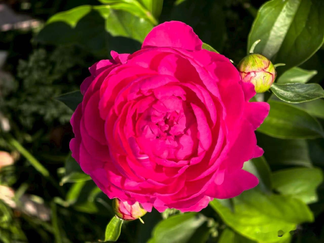 【小对联】
上：盛典；
下：……？