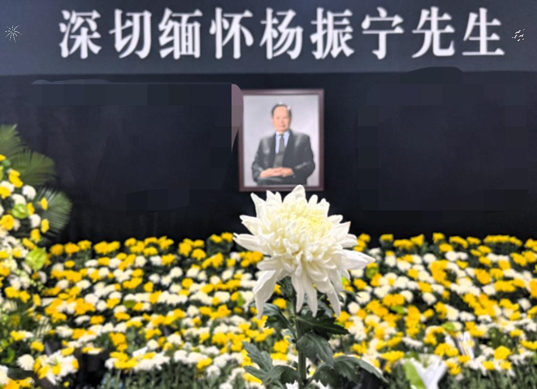 杨先生告别会上，一个名字的缺席比所有到场的人更扎眼

——大儿子杨光诺，74岁的