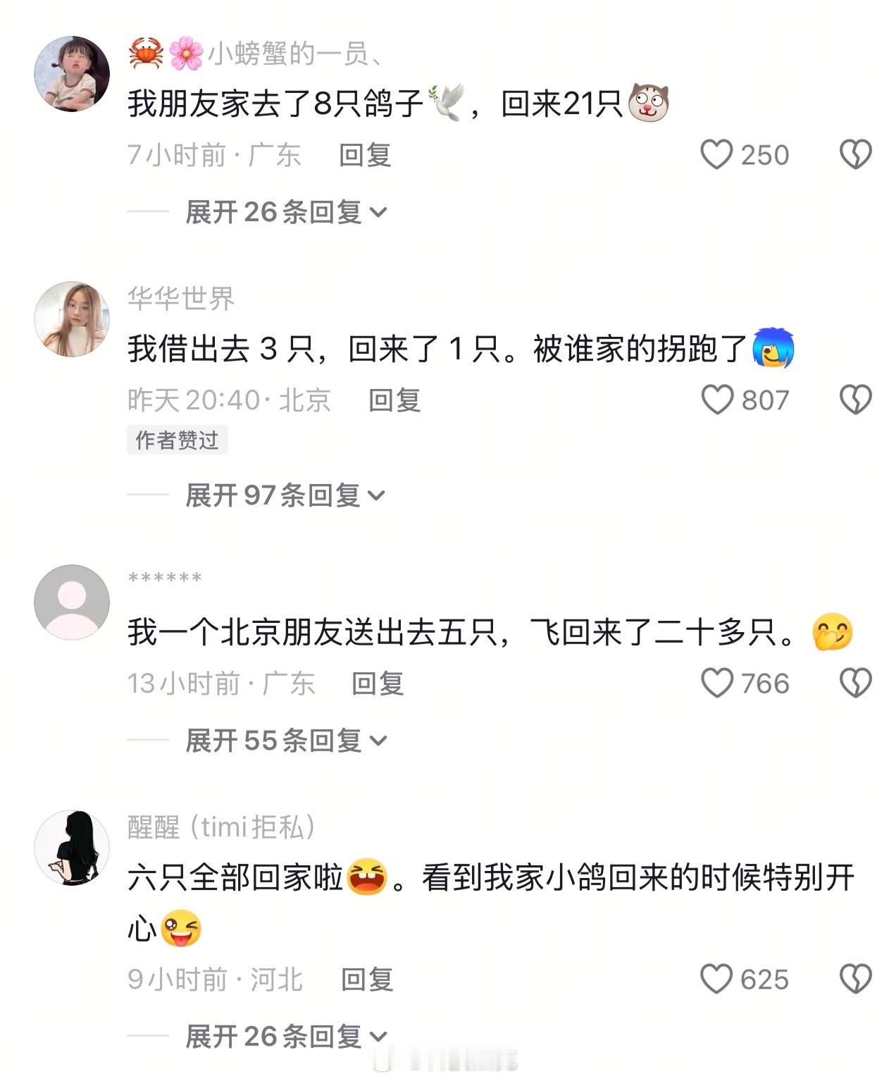 和平鸽工资15元第一次知道和平鸽还有工资捏～还有很多网友说贡献几只飞鸽，飞回家的