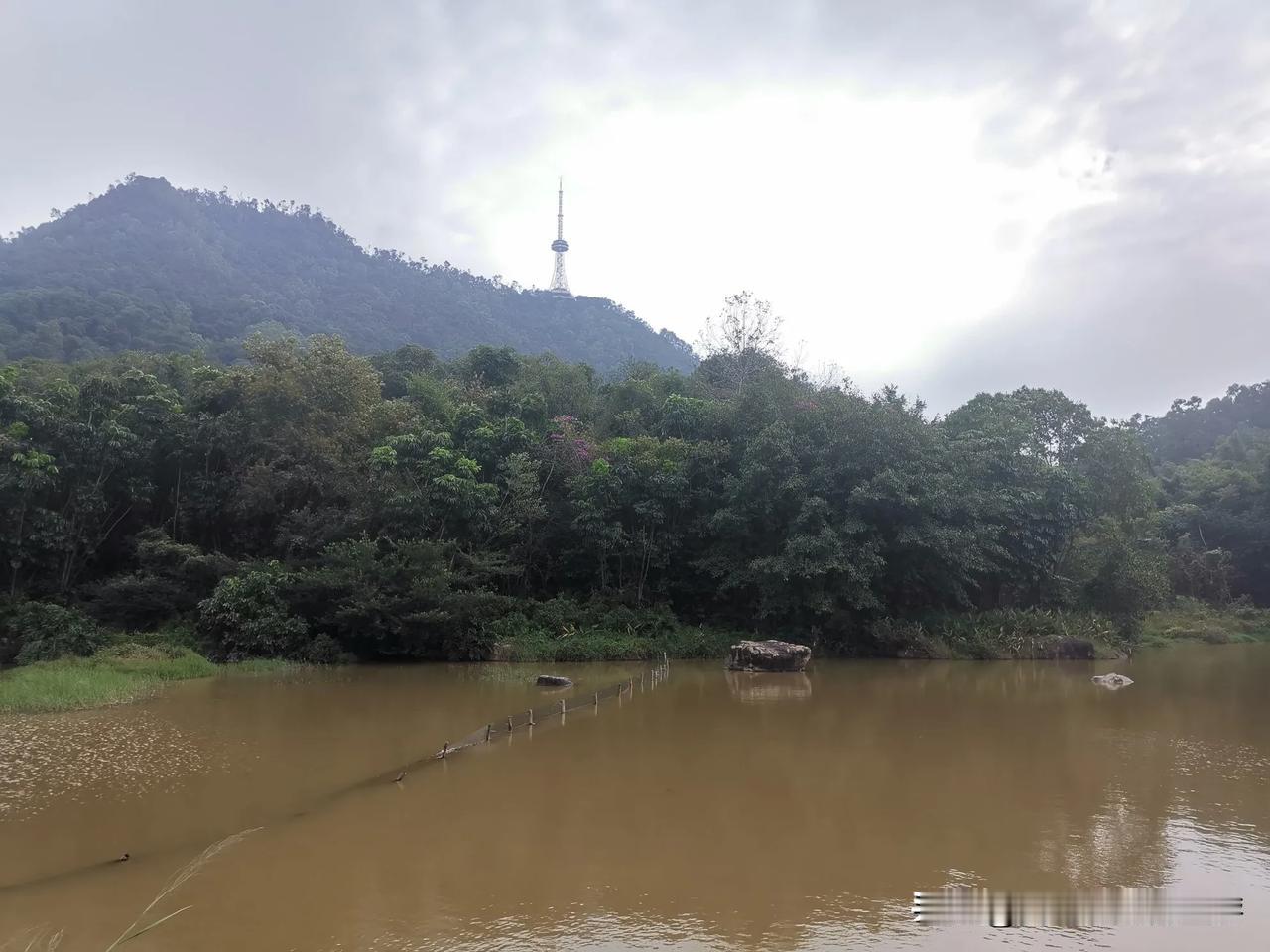 湖水黄