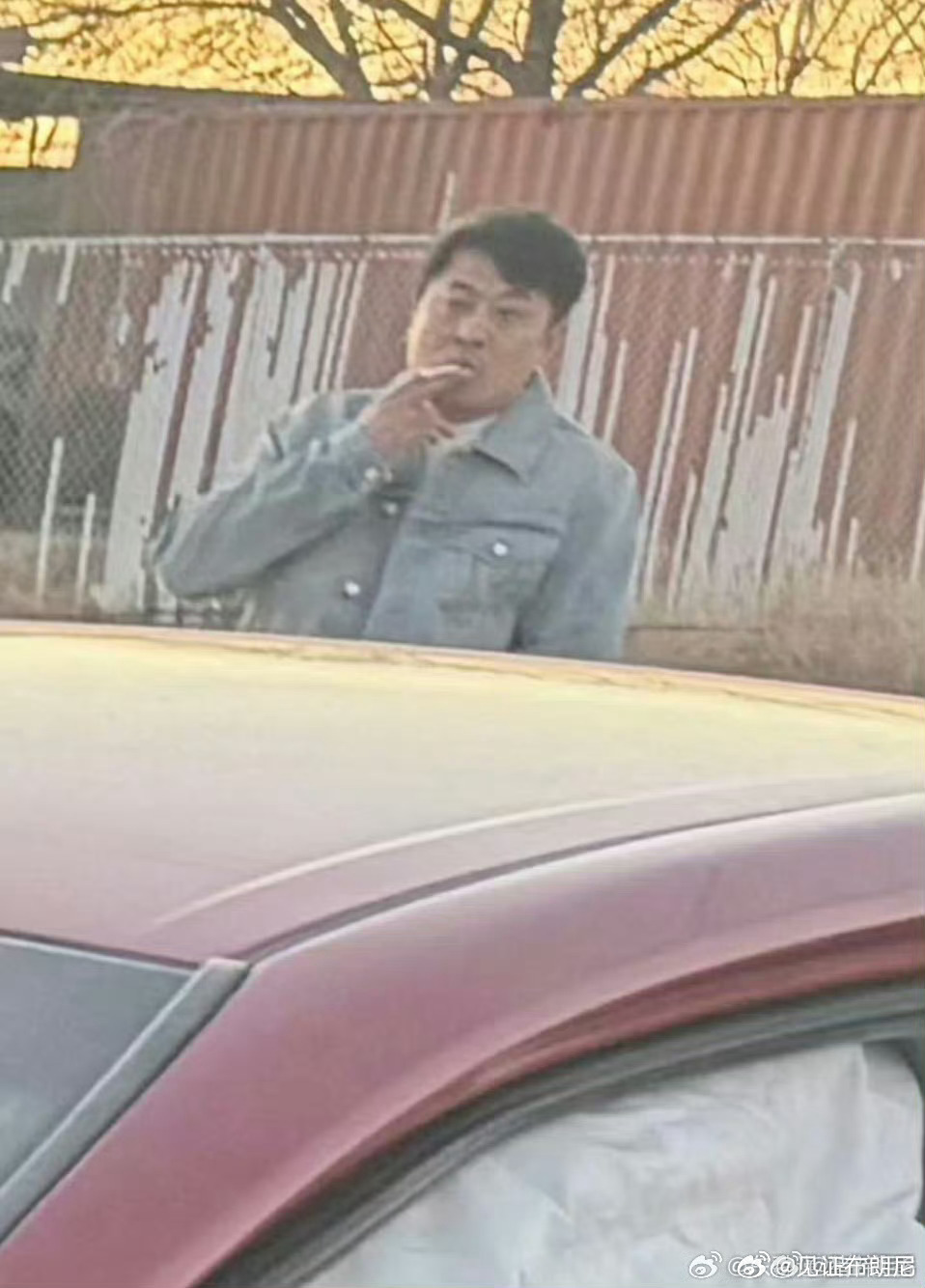 巴哥90岁的肺，可不能抽烟了啊。网红辛巴在美国被网友偶遇