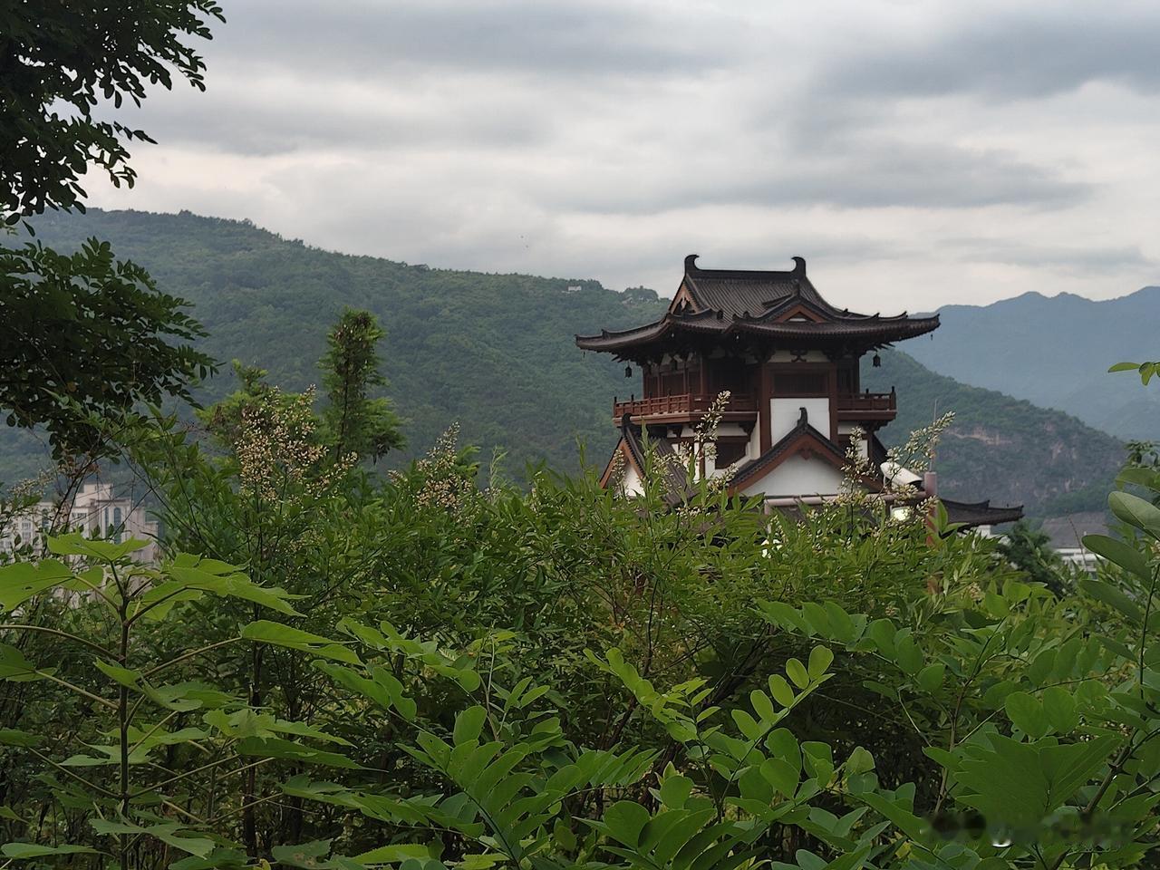 荷塘莲花红。