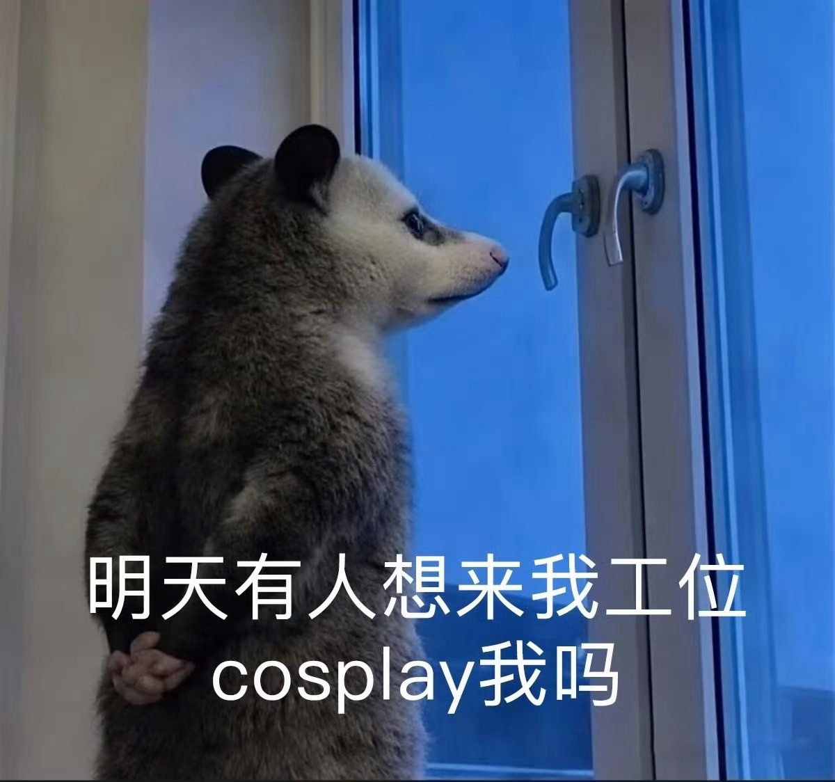 有人吗 ​​​