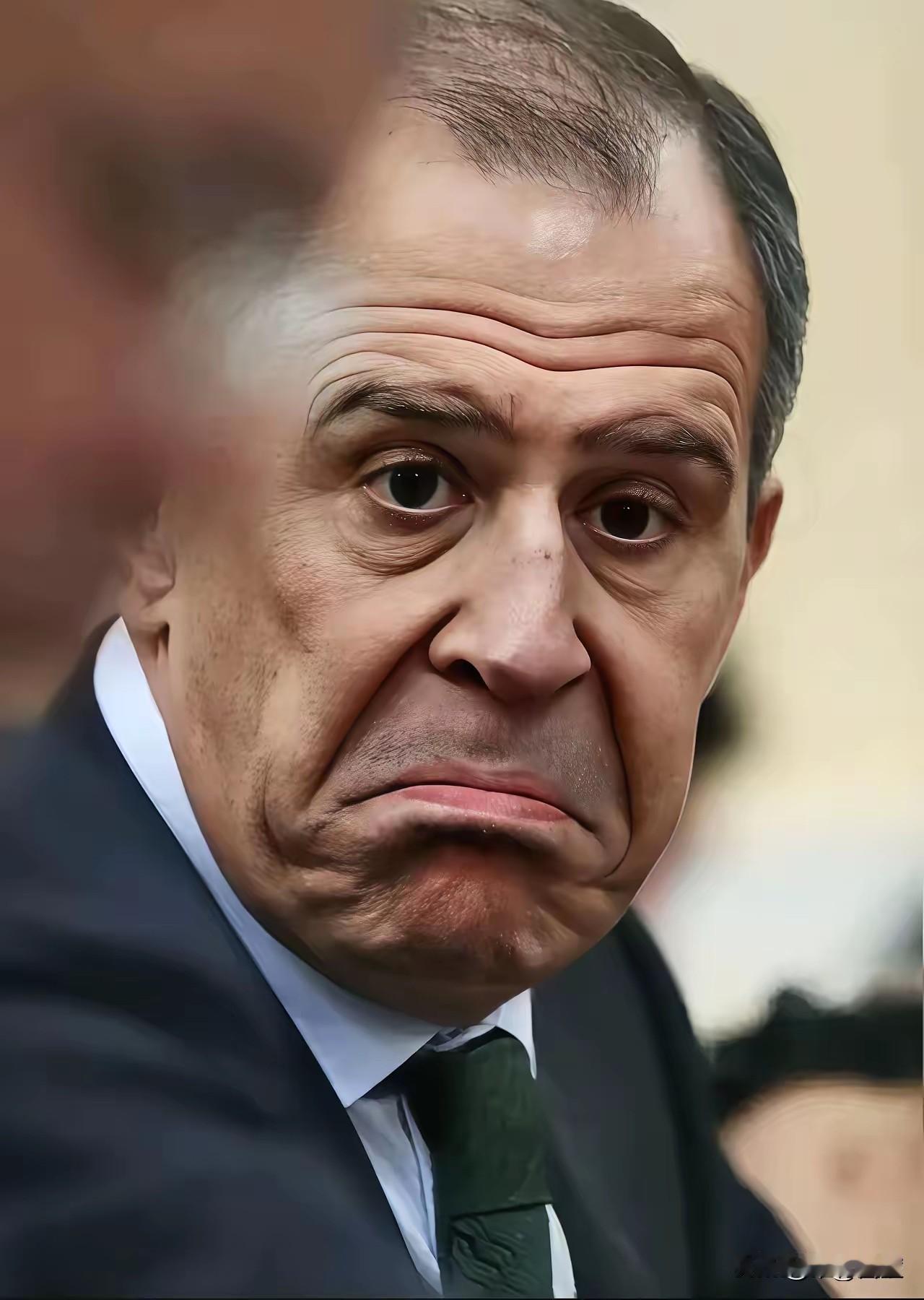 拉夫罗夫是一位资深外交家，是当今世界外交阵线上的一员老将，也是一名干将。
拉夫罗