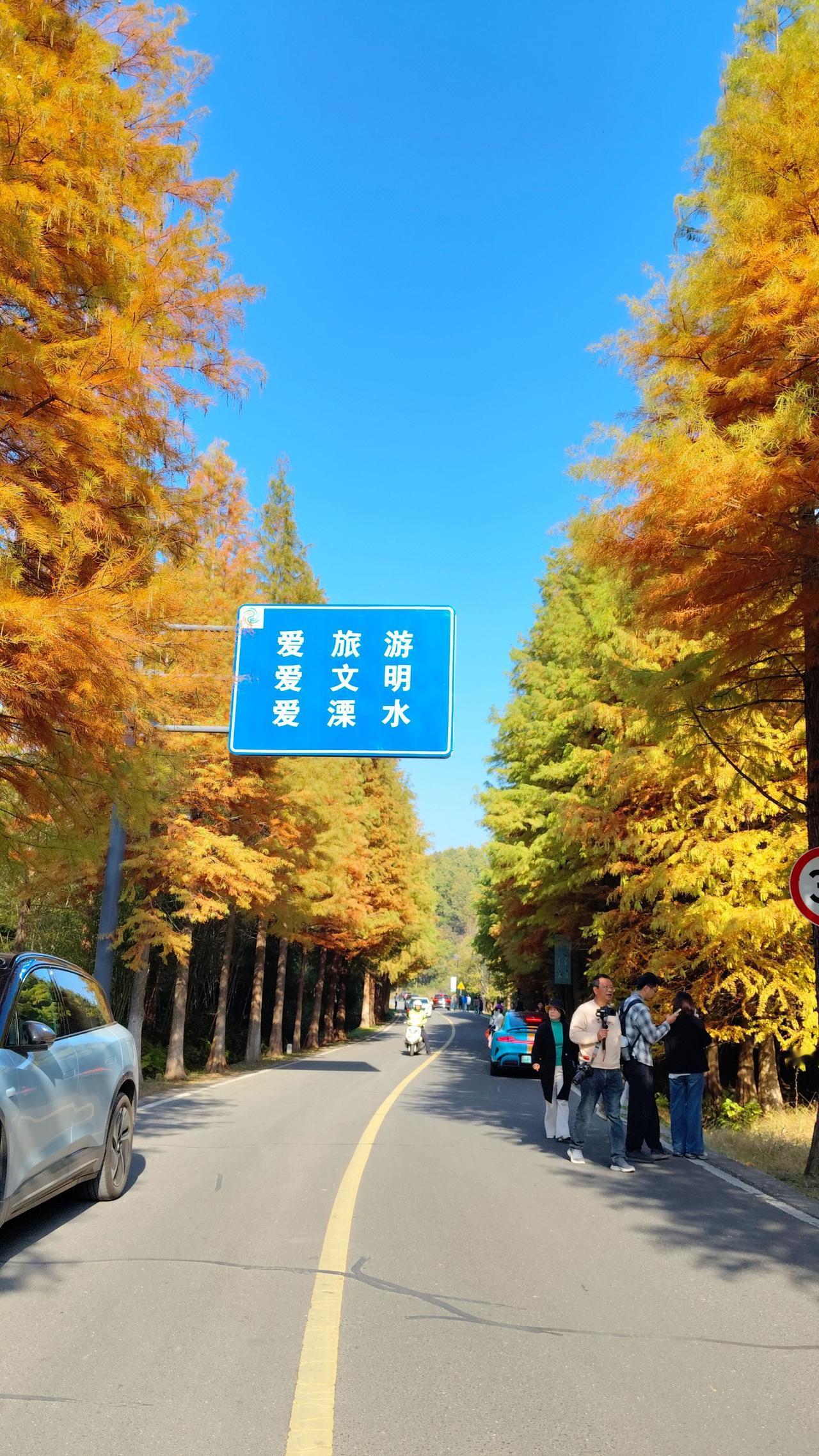 秋天的第一份浪漫，来自无想山