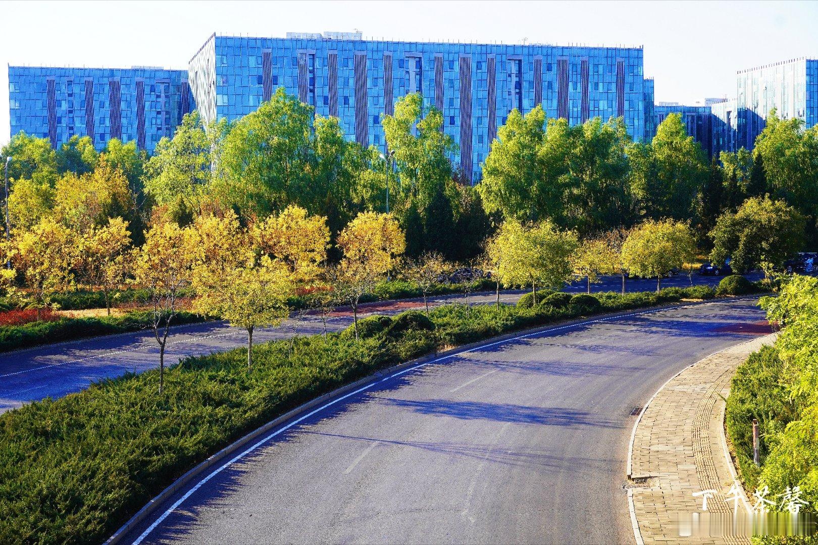 【秋天快乐】🍂🌼游走北京怀柔滨河森林公园，像闯进了大自然的怀抱。风里裹着草木