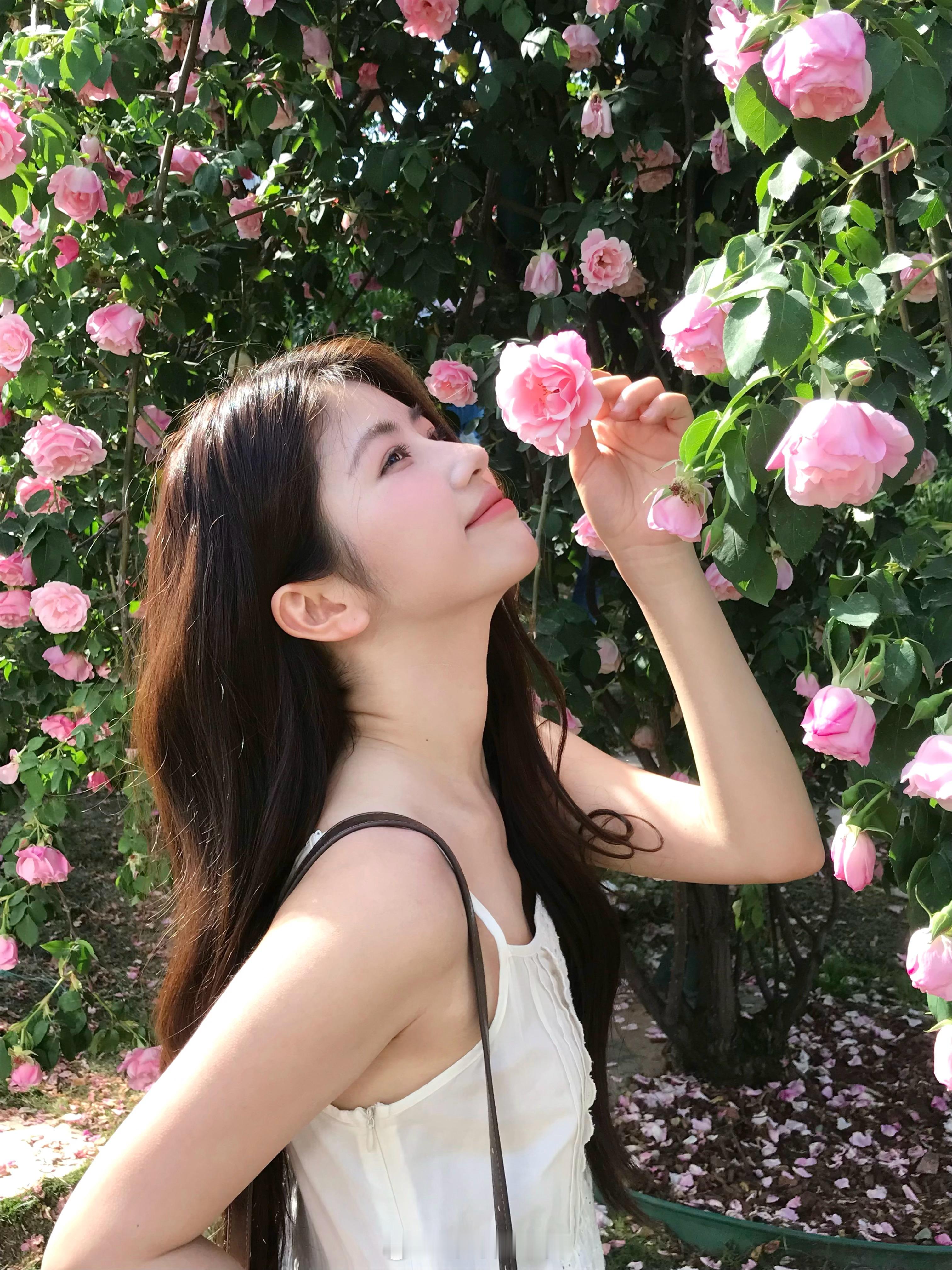 原来春天这么美幸好没有腐烂在冬天 