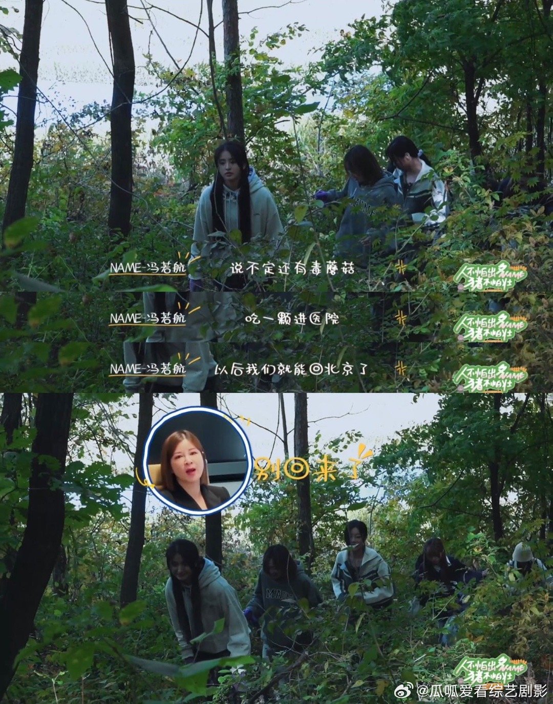 #考古学不愁没出路#  太喜欢看姐姐们的日常了，没想到挖一个人参居然还有这么多的