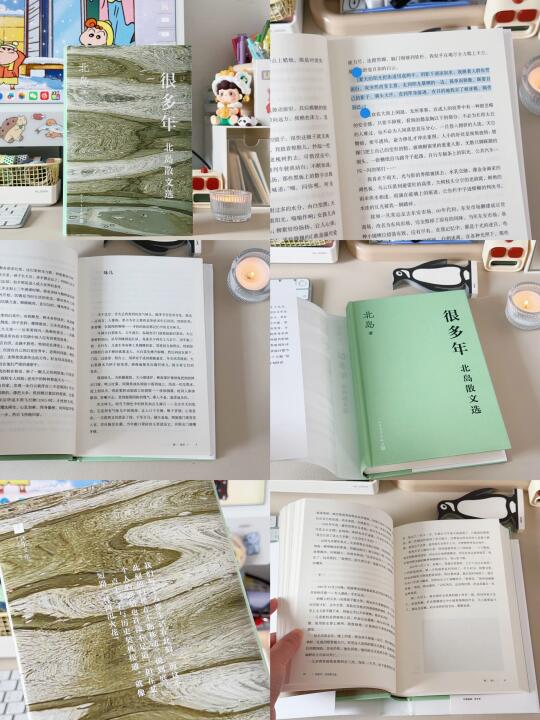 最近沉迷这本《很有画面感的北京味散文》