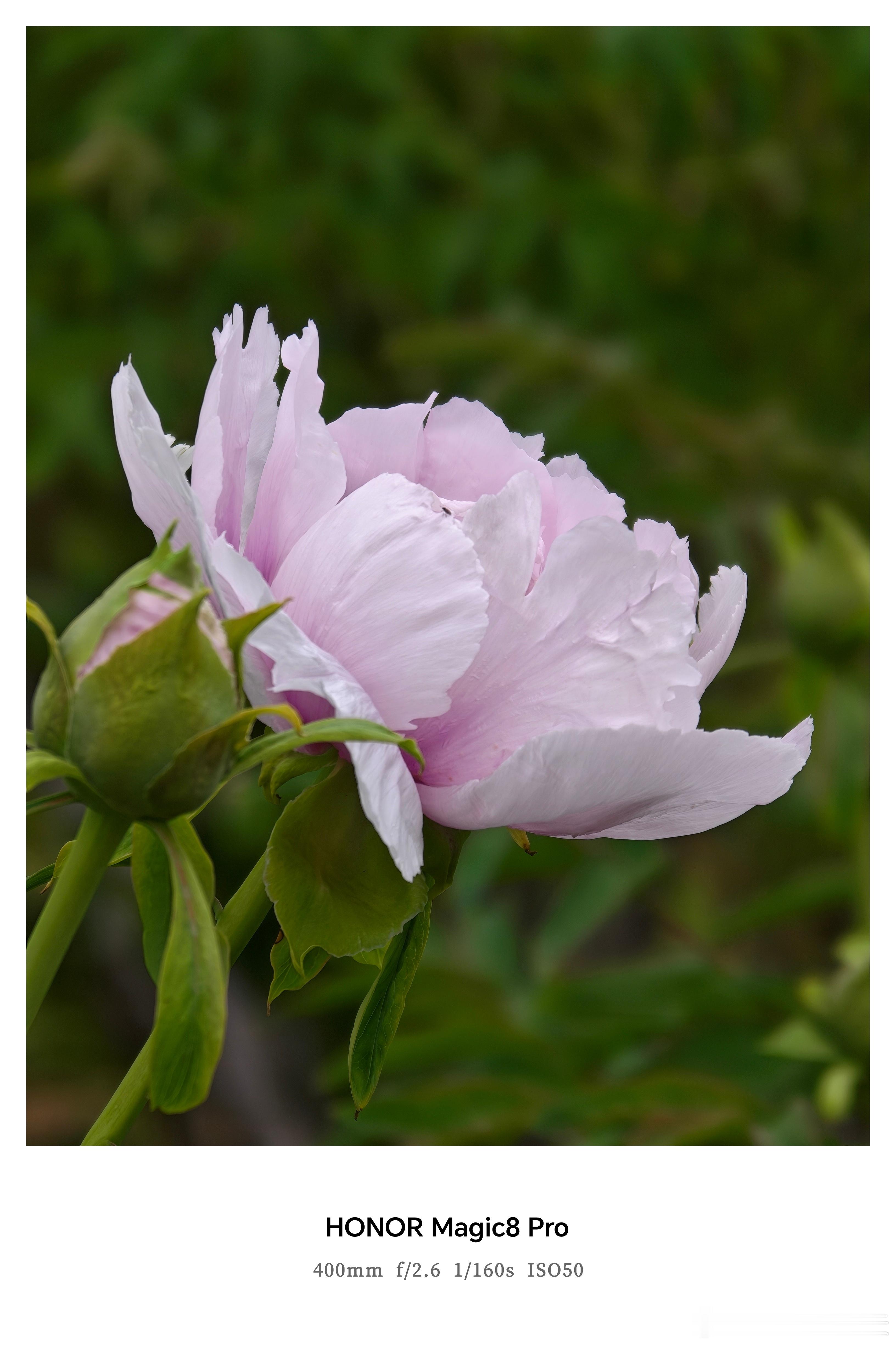 谁懂这次换手机的意义 📷新手机简直是文旅拍照神器！高清原图无需修饰，流畅转场定