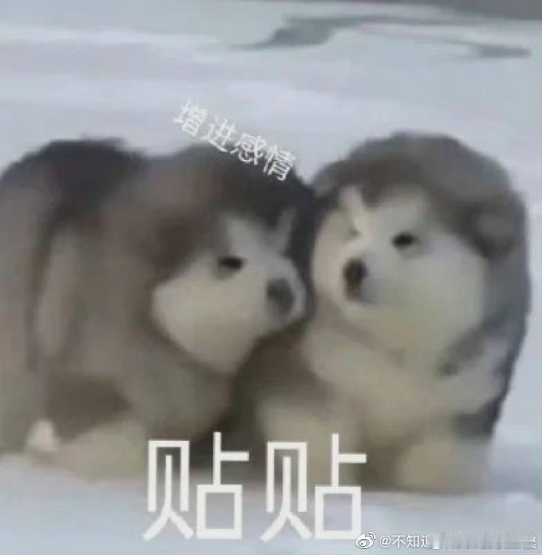 大吉胡咧咧 挟恩不图报00别人说枣康苦命，生下来就是孤儿自己艰难长大也就算了，找