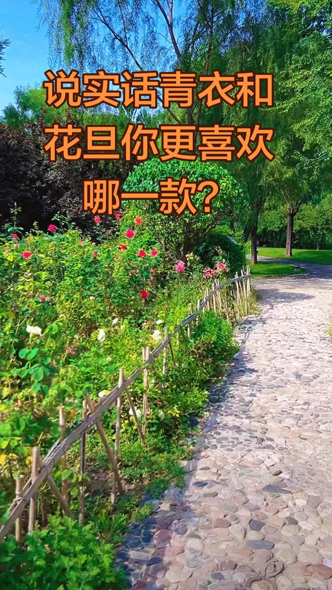 说实话，青衣和花旦你更喜欢哪一款？京剧国粹