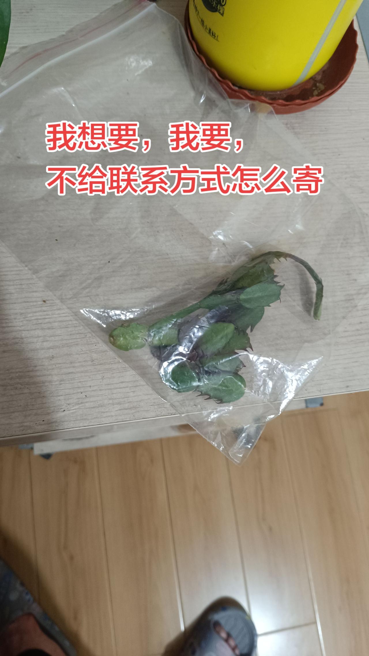 我想要，我要，不给联系方式怎么寄？
