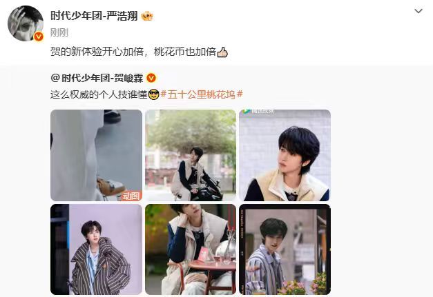 严浩翔贺的新体验开心加倍严浩翔给贺峻霖桃花坞打call 严浩翔给贺峻霖桃花坞打c