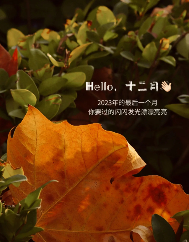 “11月再见｜高级文案 我们这样发 和11月好好告个别吧”1.‘’十一月日記//