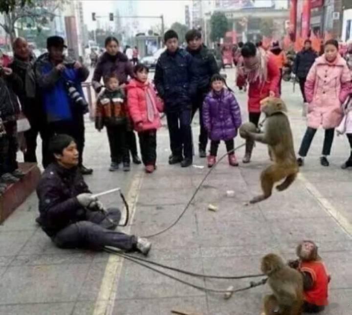 有人发了图1，立马有人给他回了图3，这是斗图的开始吗？ ​​​