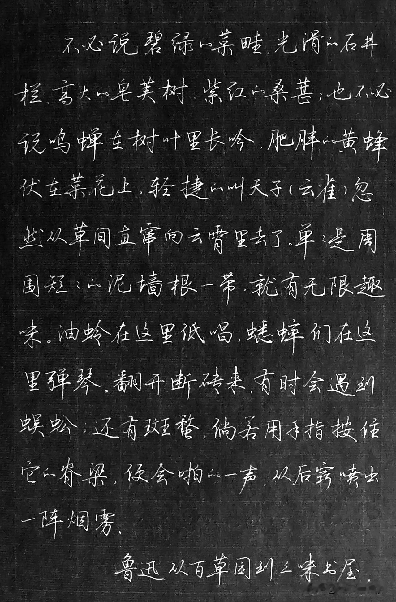 你有没有过这样的感觉，回忆自带滤镜？

       就像我，几年前逛过鲁迅笔下