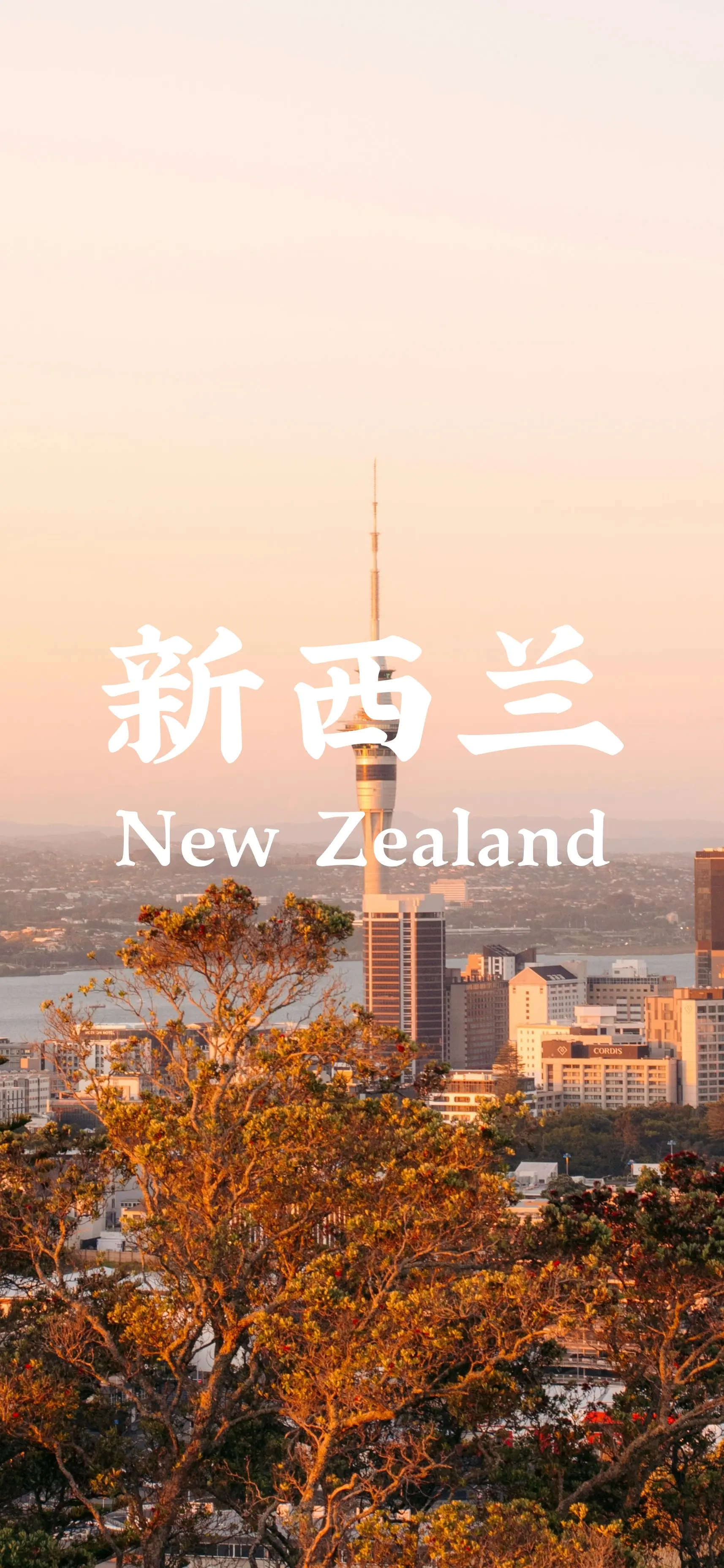 “找不到答案的时候 就去看一看这个世界”「💫📸📍在新西兰🇳🇿...