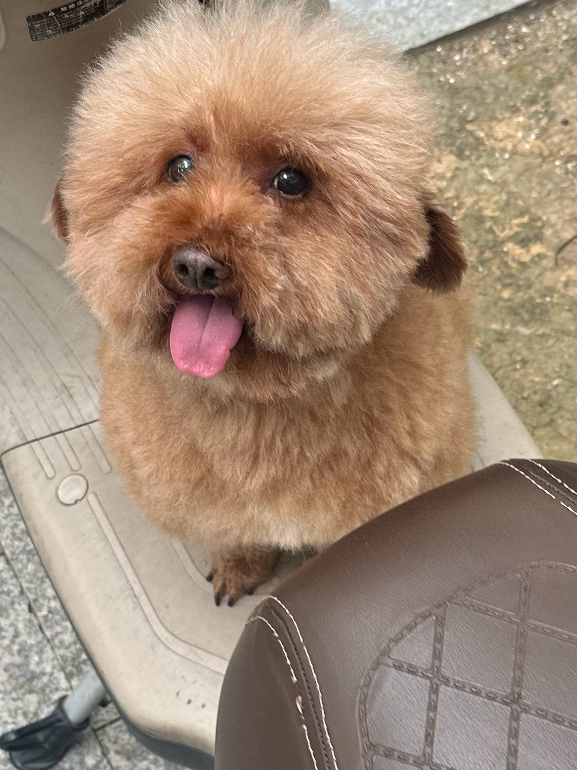 乖孩子今天洗澡了 