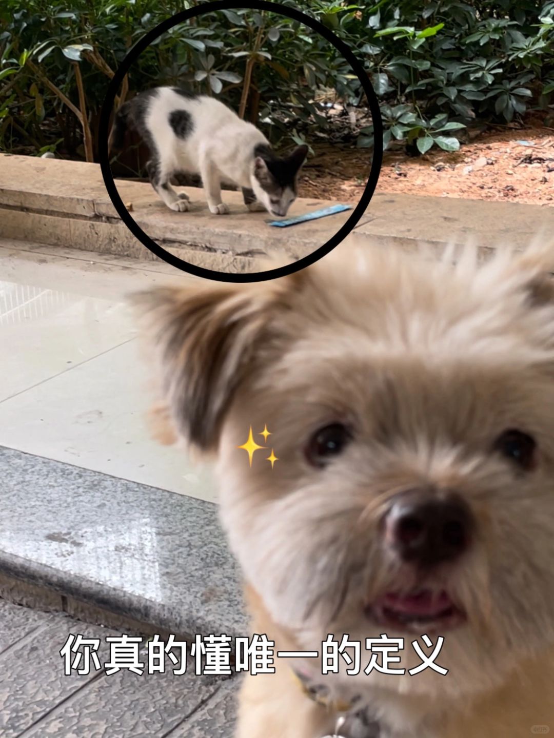 并不是声东击西💧