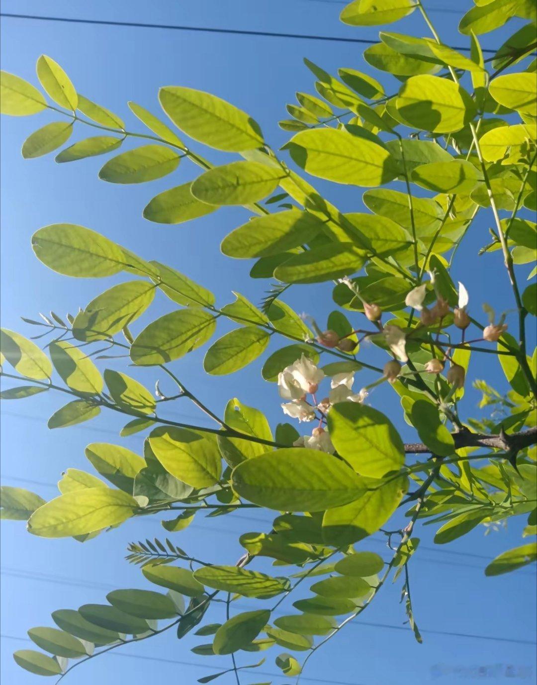 炒股就是要有这种心态！隔壁大爷炒股，他的心态完胜99%的人！大爷退休后，没事干。
