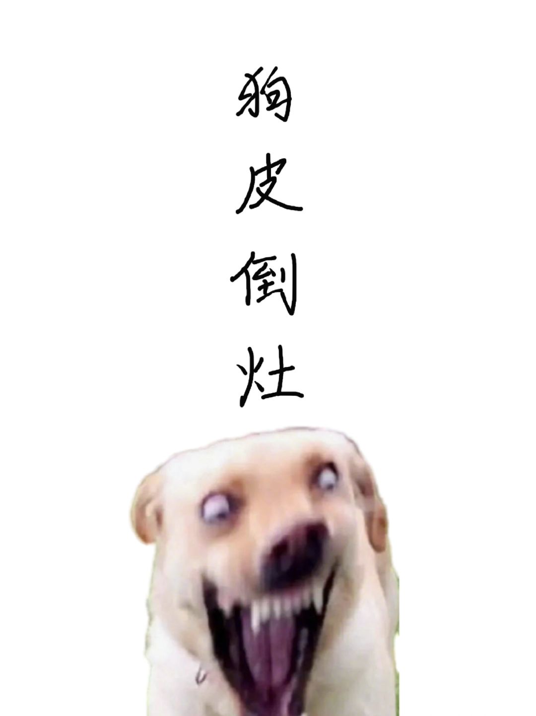 上海人嘴巴里的这句狗皮倒灶，你还会说吗
