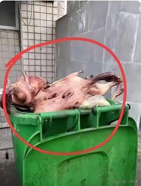 妥妥的饱汉不知饿汉饥。

很多东西对他们来说可有可无，随手丢掉、闲置落灰，丝毫不