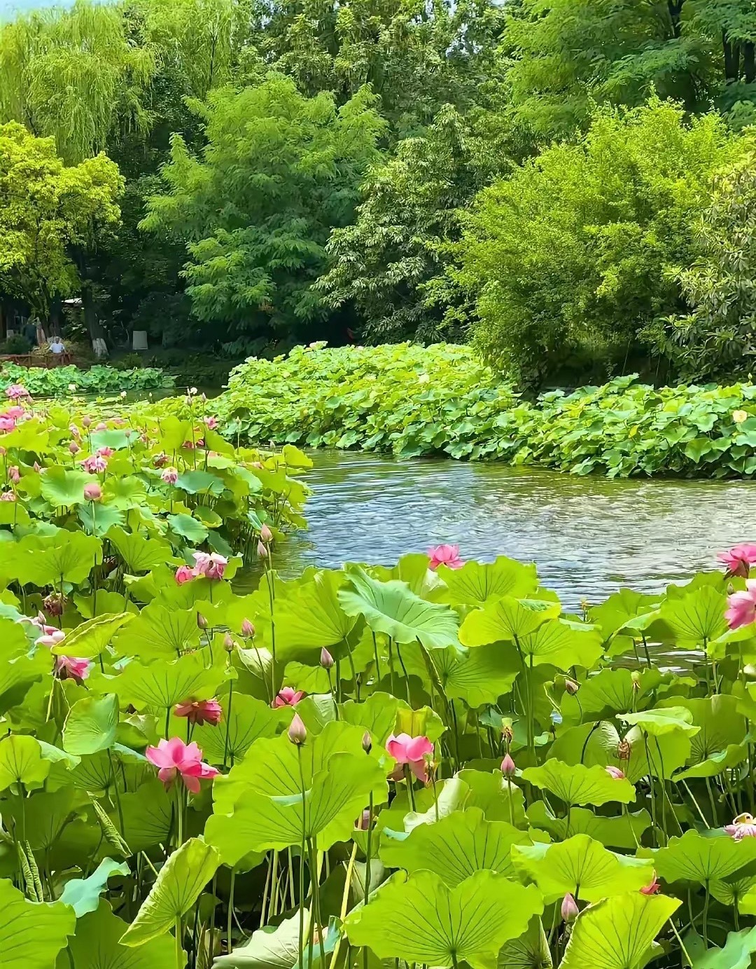 油和气不动，目前有干扰，但不会影响大。 ​​​