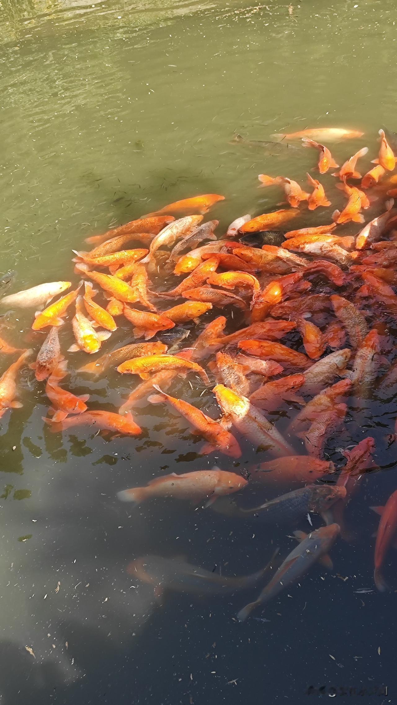 家有学生，每天都是事儿。

但我现在已经很少在朋友圈发小宝在家里或在学校里发生的