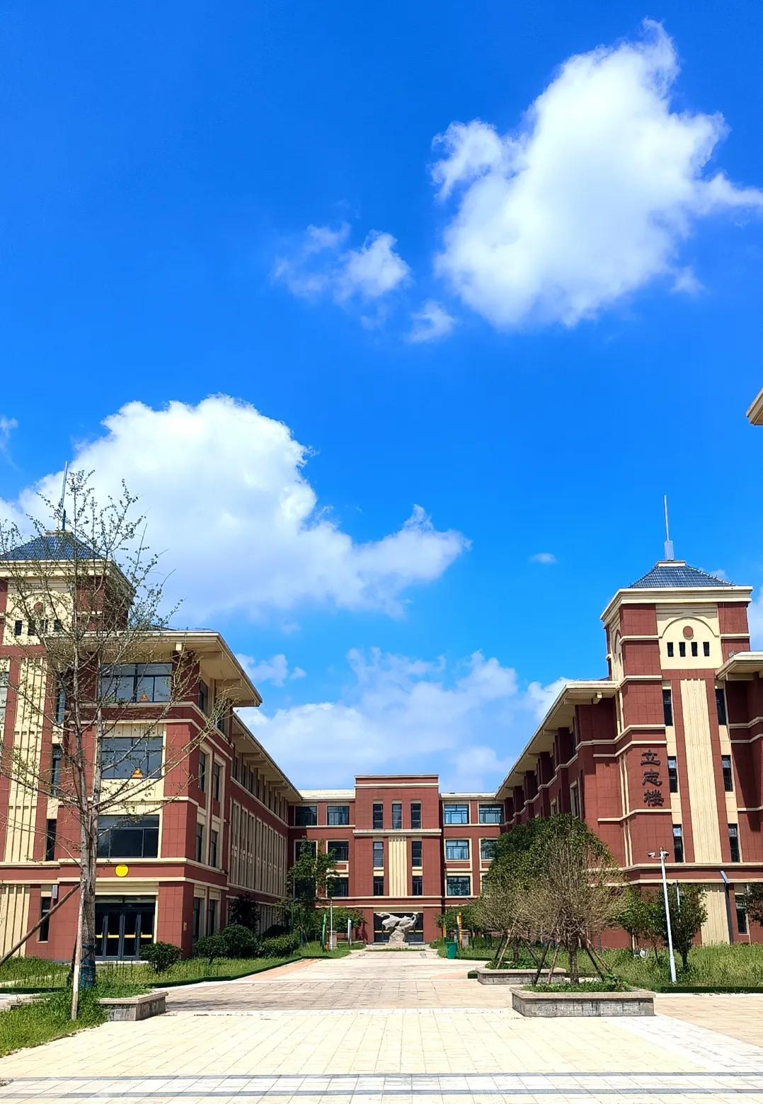 这几年参与学校建设，有很多苦衷，本不想说，说多了，显得格局小了，但是为了学校，为