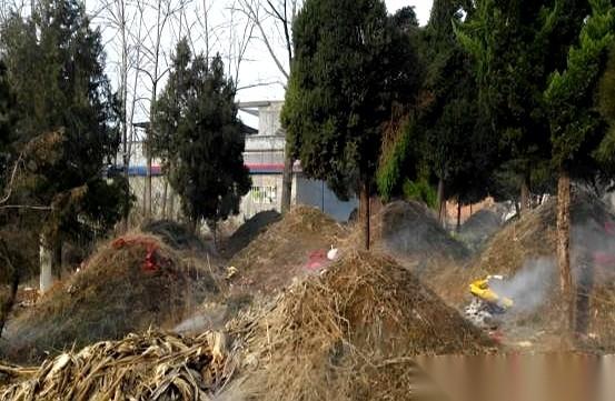 3月30号，全国丧葬的老规矩，变天了。
以前一刀切的“必须火葬”，现在不强制了。