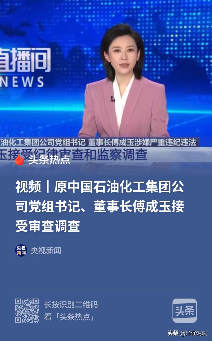 “权力任性，退休不是护身符！”近日，75岁的原中国石油化工集团公司党组书记、董事