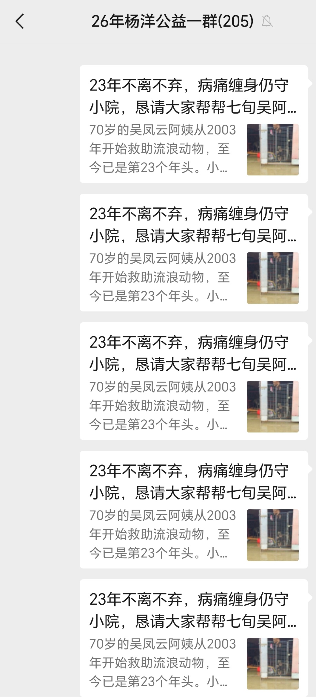 杨洋[超话] 日行一善，存一份心安。相信天道有轮回，善恶终有回响。不必急于一时，