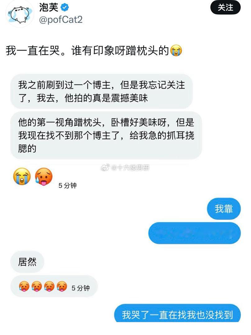 蹭枕头这个，我也超级有印象！！！但是就是记不起来